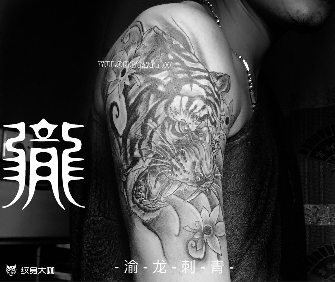 新传统老虎_纹身图案手稿图片_肆海阁刺青-段海的纹身作品集