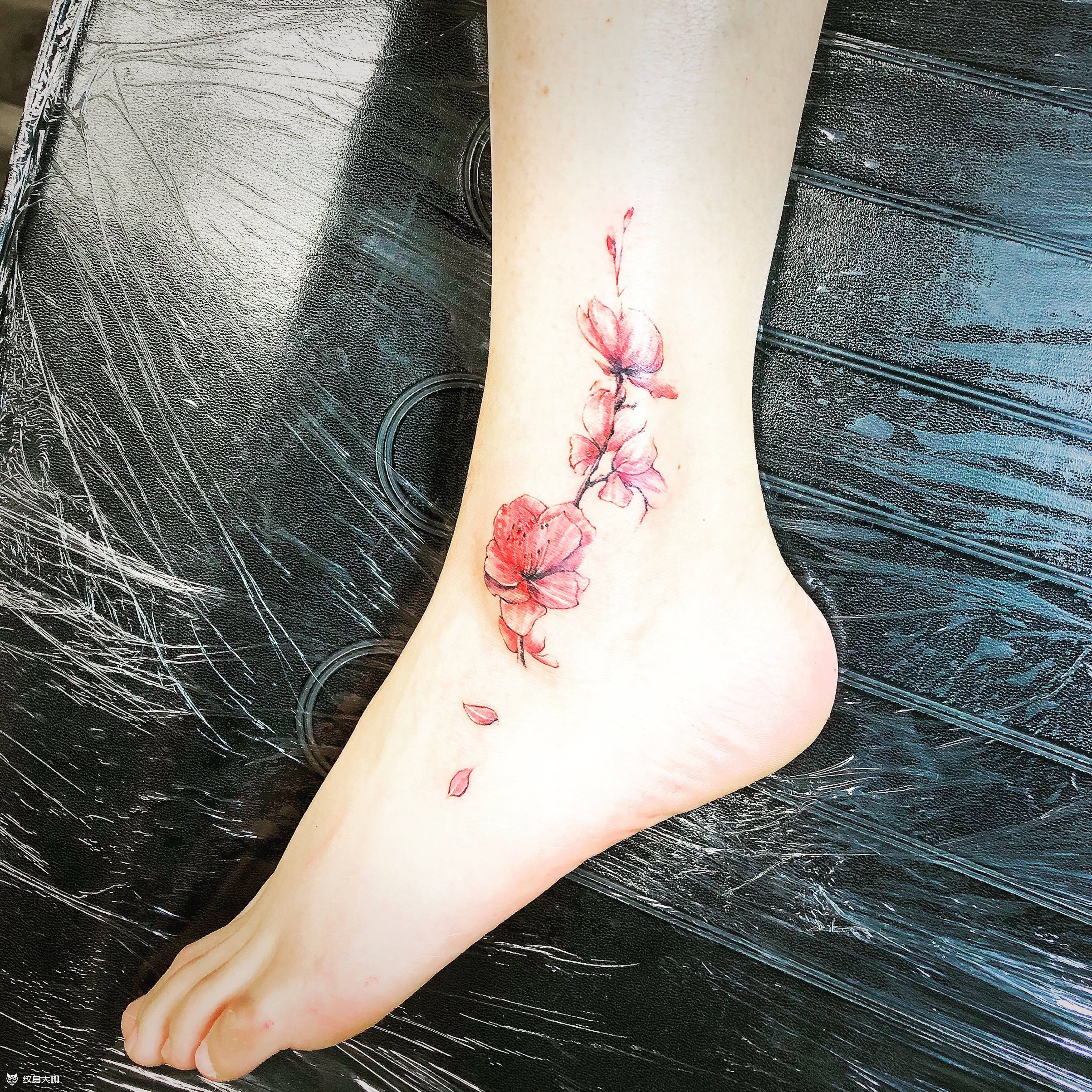 脚踝花_纹身图案手稿图片_赵时豪的纹身作品集