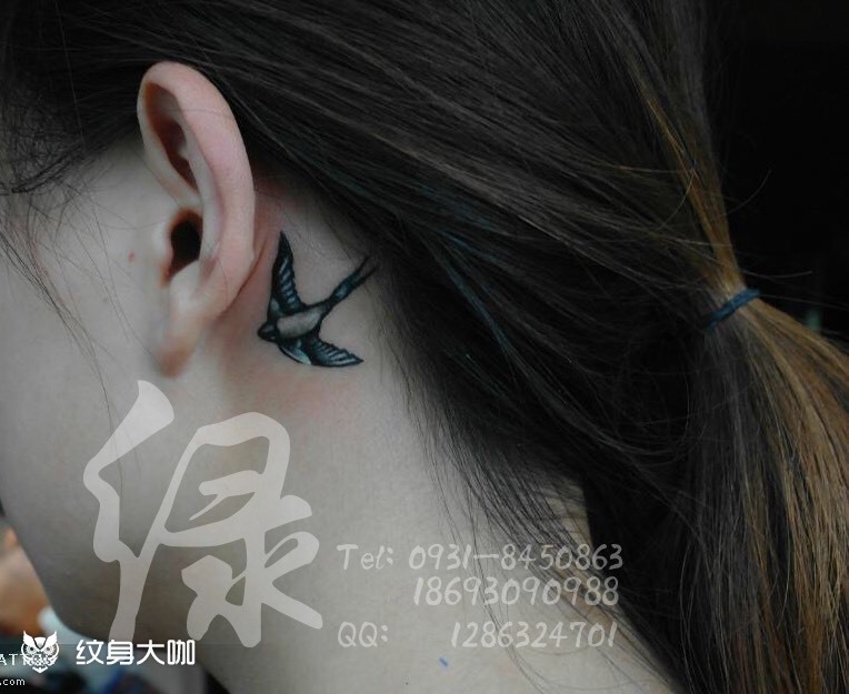 小燕子_纹身图案手稿图片_冒冒的纹身作品集