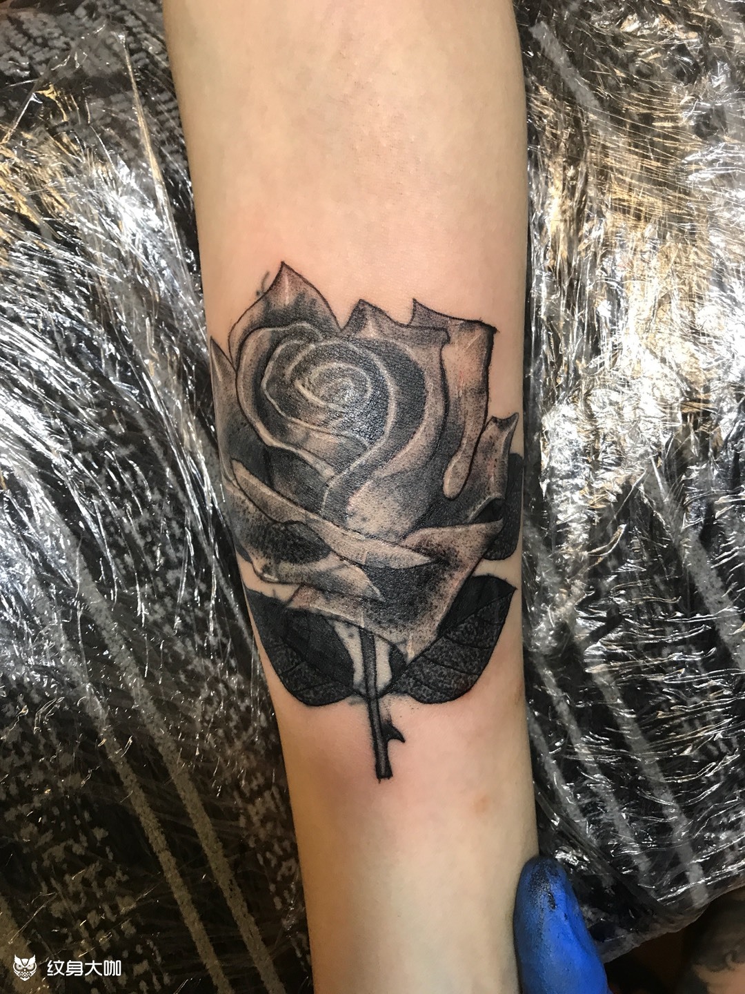 玫瑰花遮盖_纹身图案手稿图片_文画人的纹身作品集