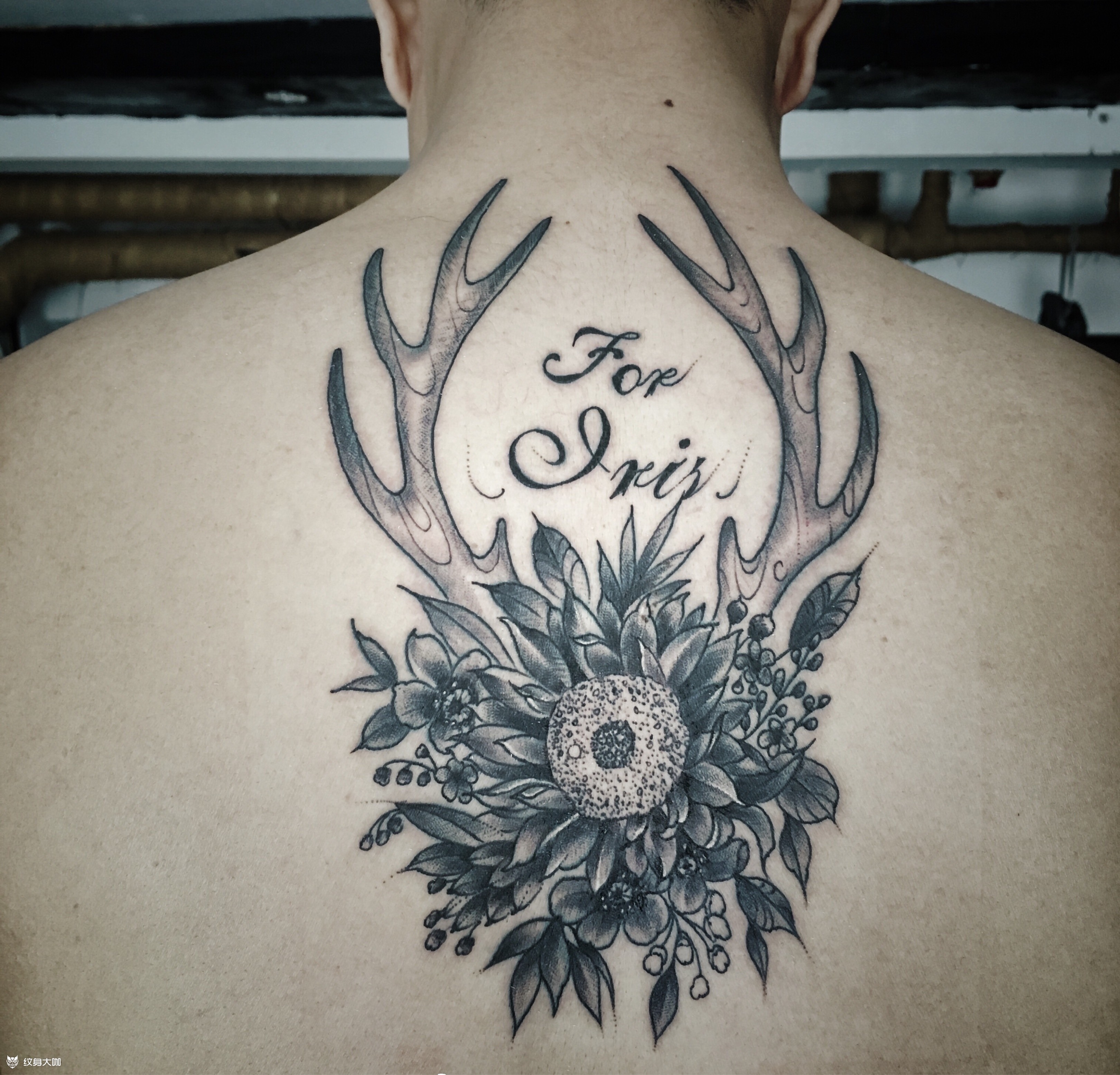鹿角&素花_纹身图案手稿图片_大仙的纹身作品集