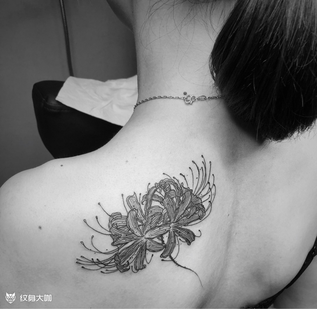 彼岸花_纹身图案手稿图片_敦子的纹身作品集