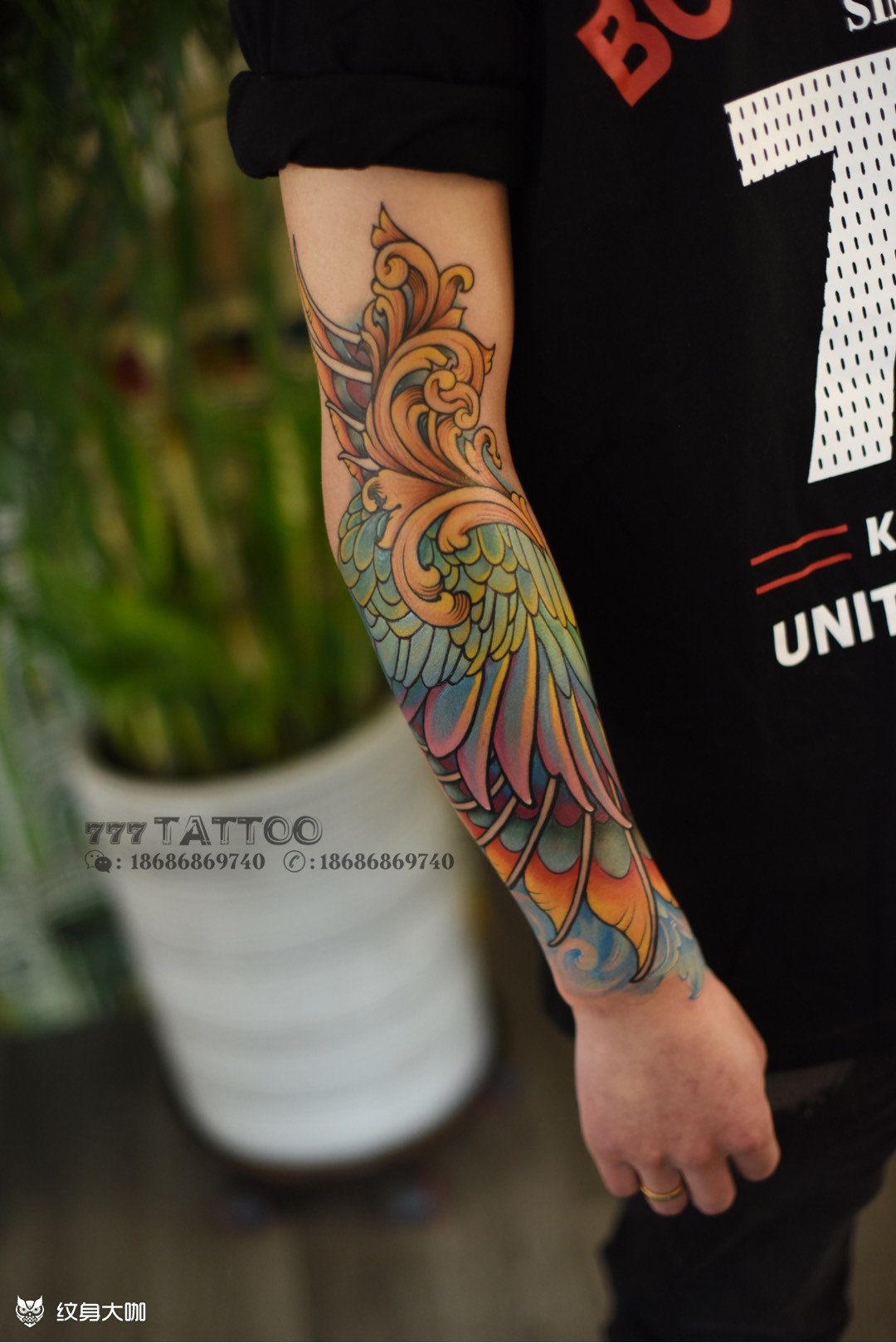 彩色翅膀纠结过去,担心未来