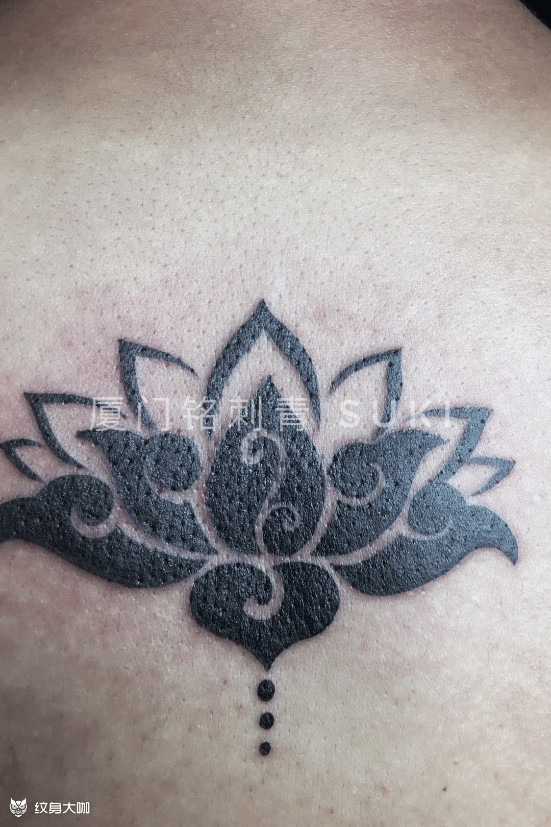 图腾莲花_纹身图案手稿图片_suki的纹身作品集