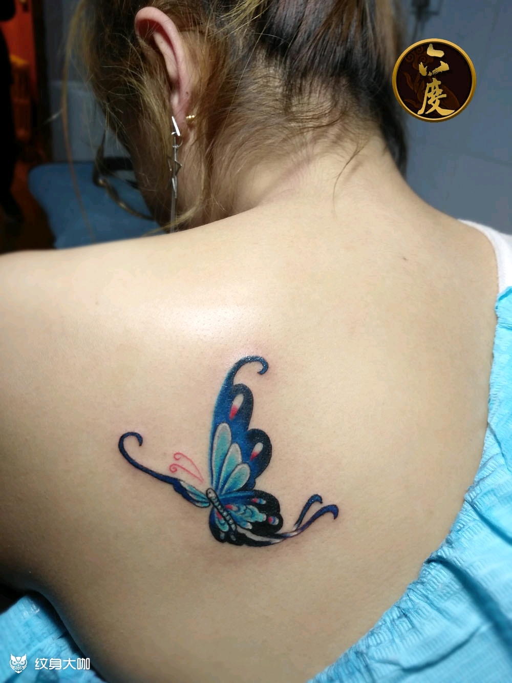 蝴蝶飞_纹身图案手稿图片_曹君宇的纹身作品集