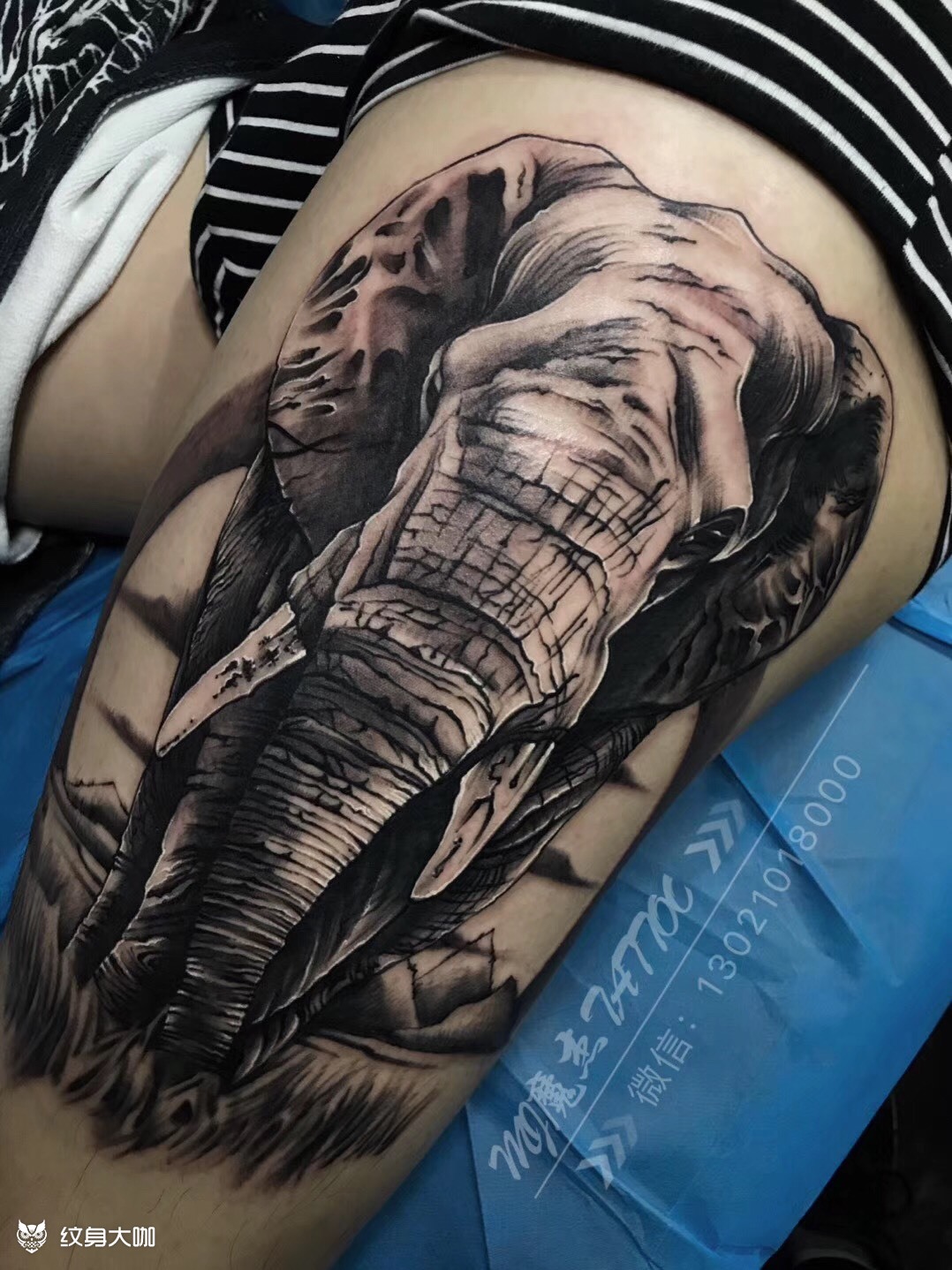 大象_纹身图案手稿图片_宓刺/子皓的纹身作品集