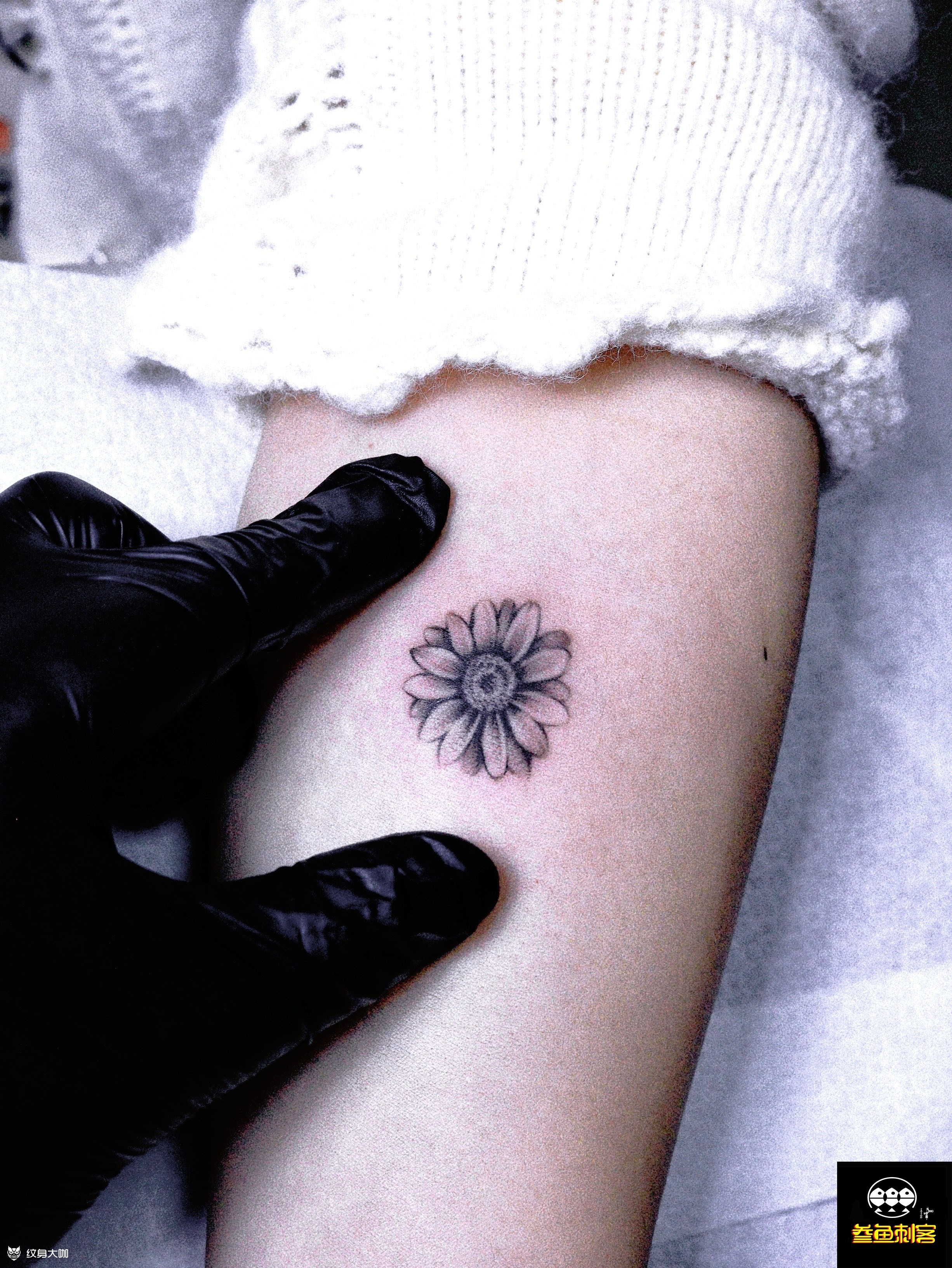小雏菊‖手臂7815_纹身图案手稿图片_叁鱼刺客的纹身作品集