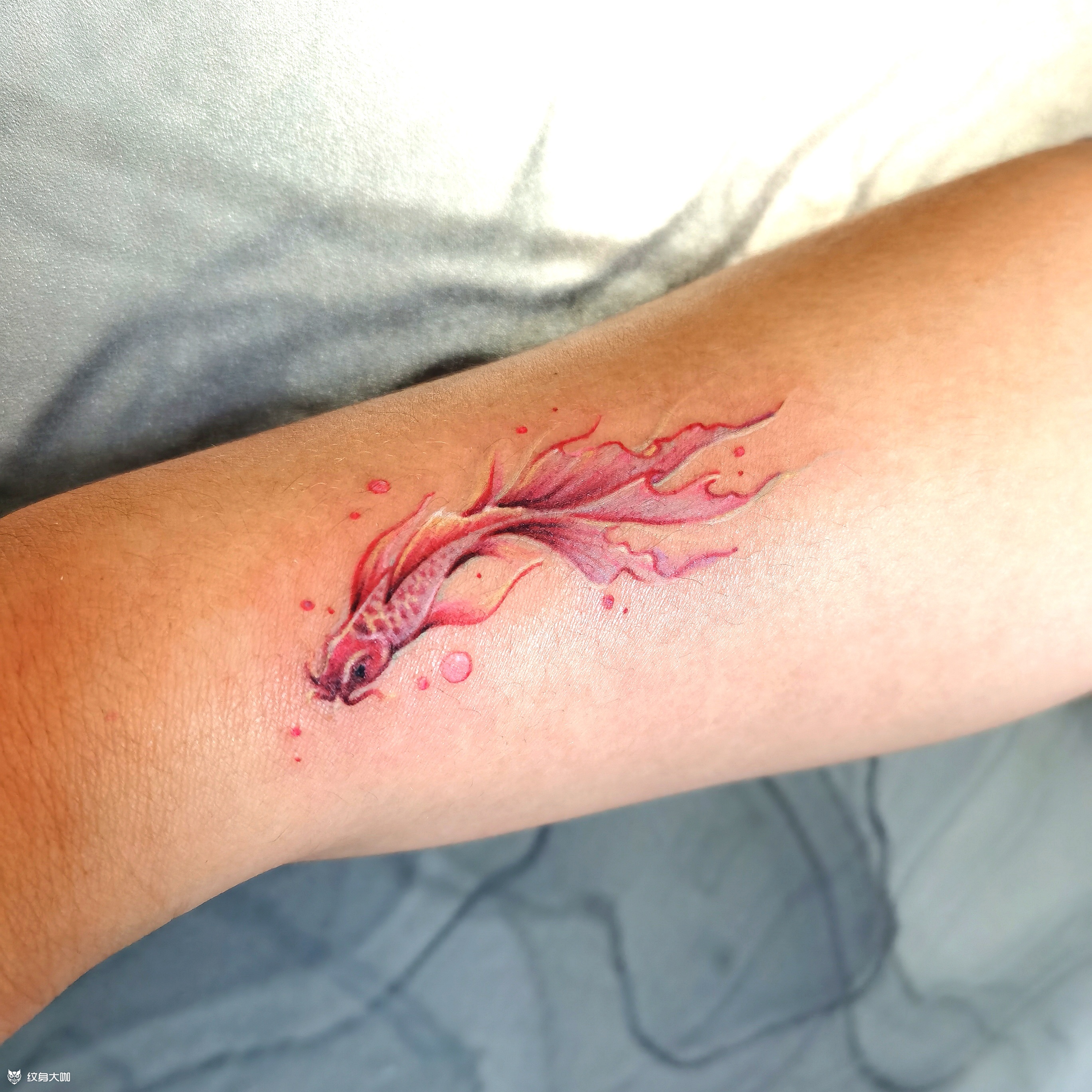 小鱼_纹身图案手稿图片_牛晋北的纹身作品集