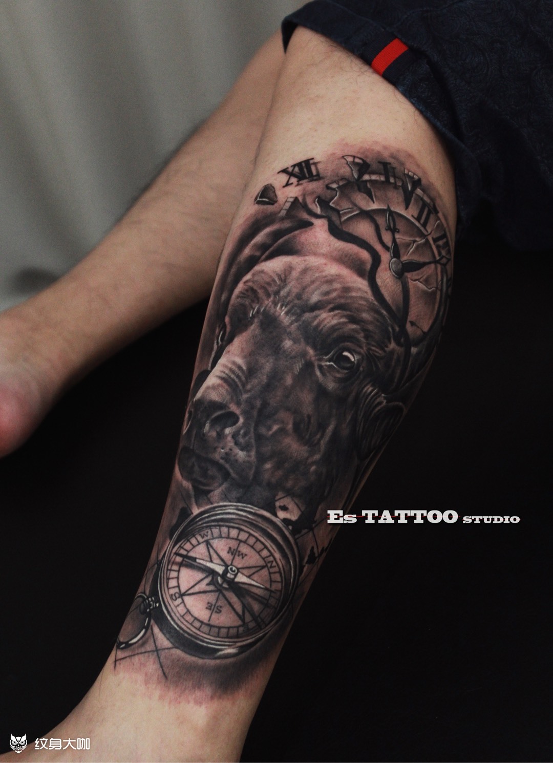 写实牛头_纹身图案手稿图片_es tattoo studio的纹身作品集
