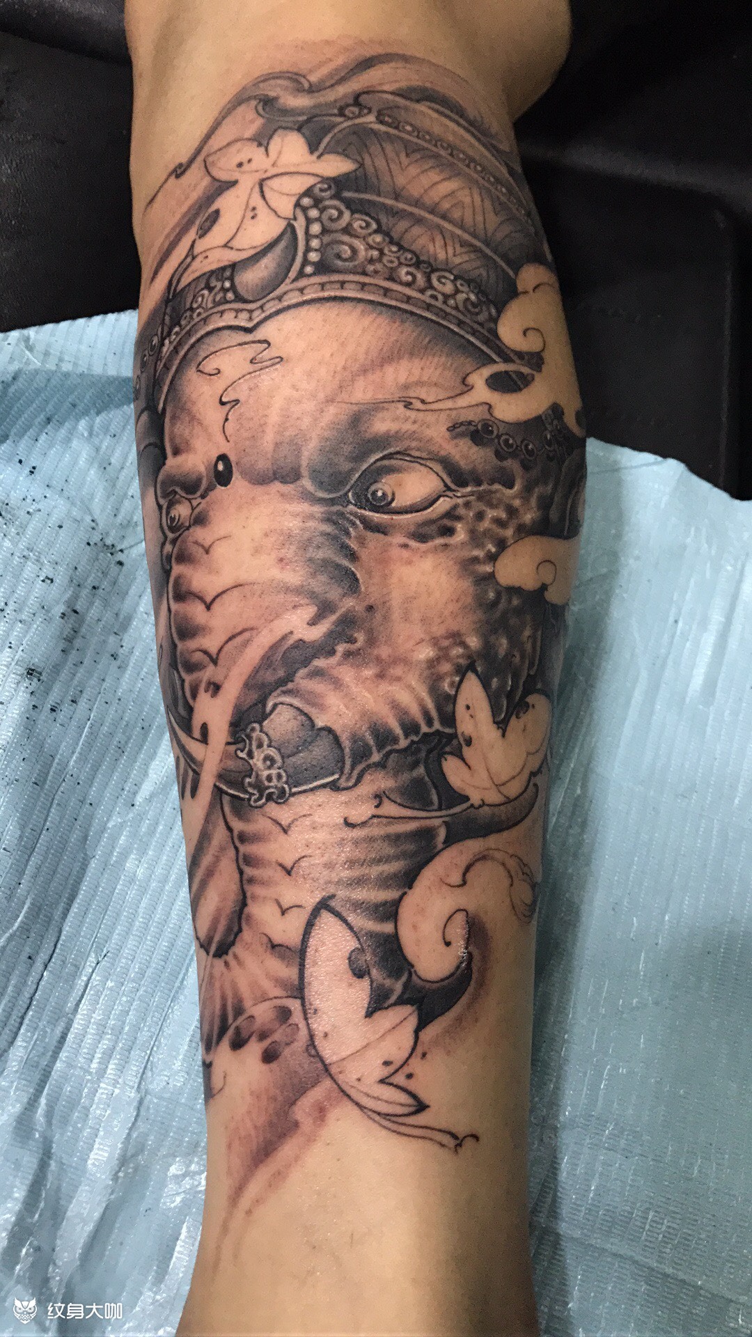 象神_纹身图案手稿图片_温泉的纹身作品集