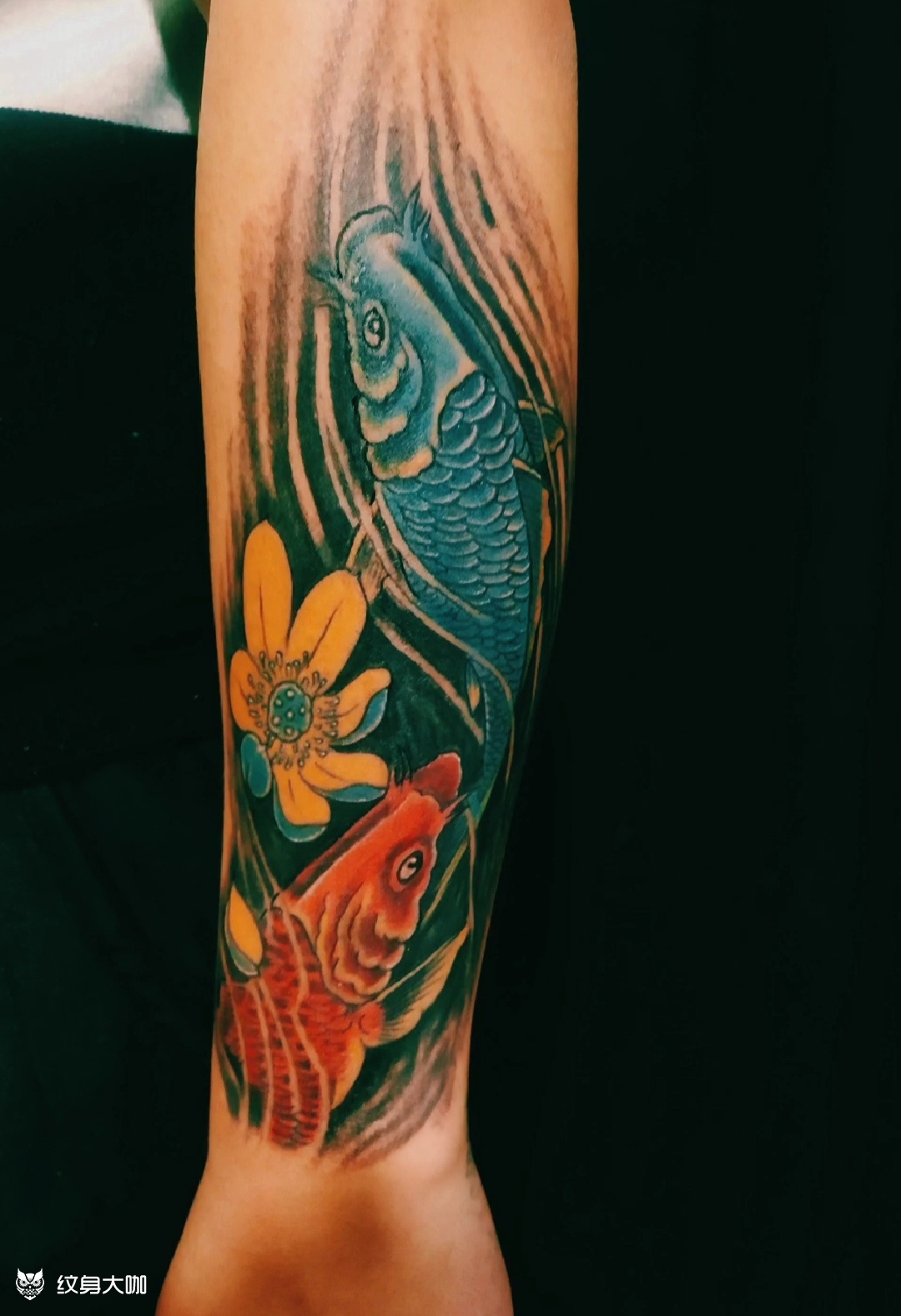 彩色双鲤鱼_纹身图案手稿图片_零～度的纹身作品集