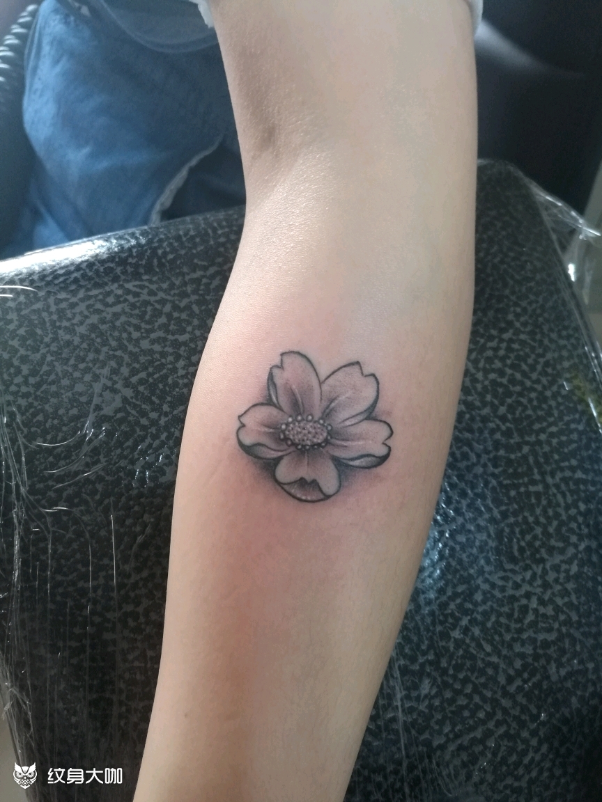 伤疤遮盖_纹身图案手稿图片_晓艺的纹身作品集