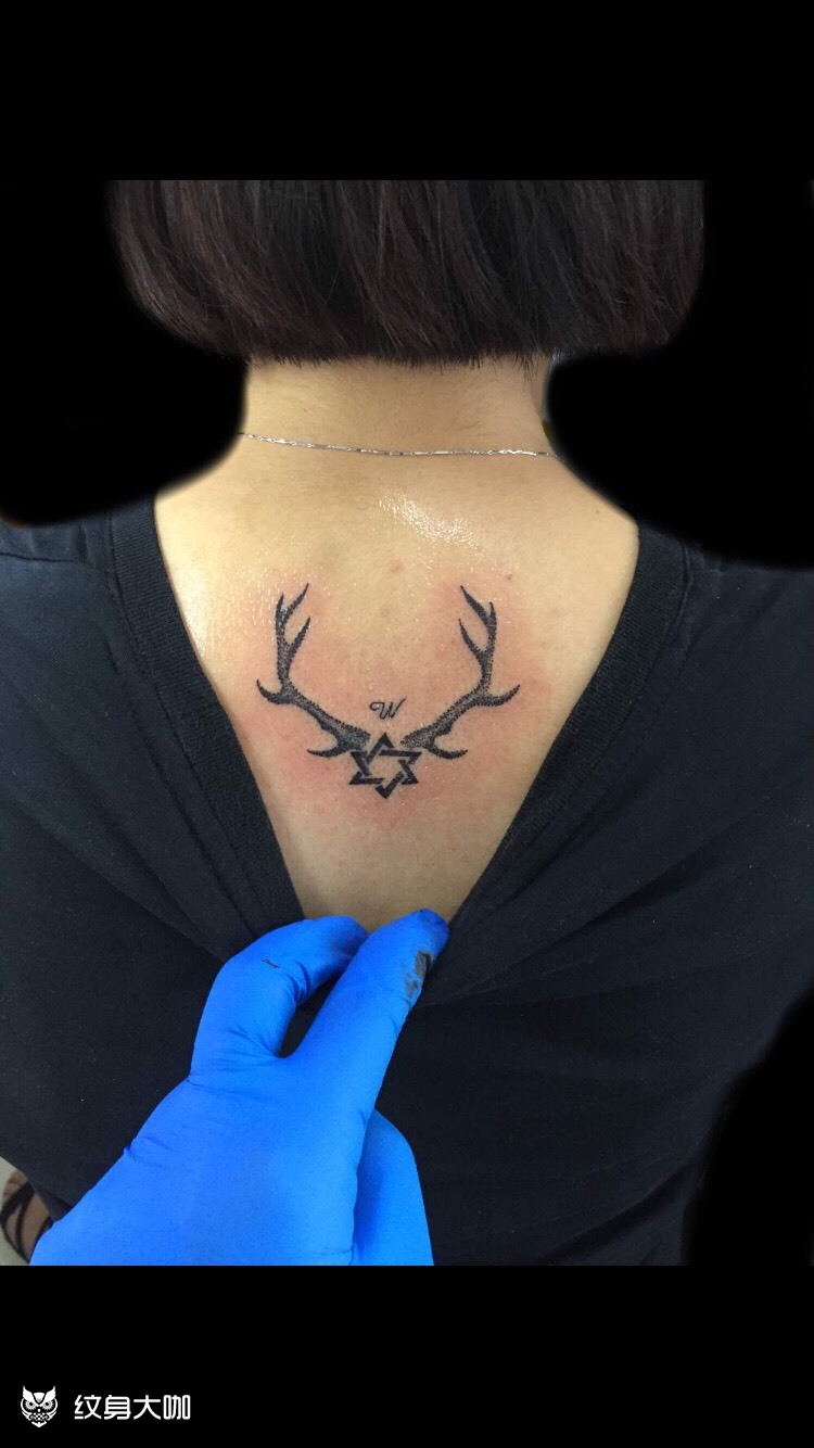 点刺鹿角_纹身图案手稿图片_七.的纹身作品集