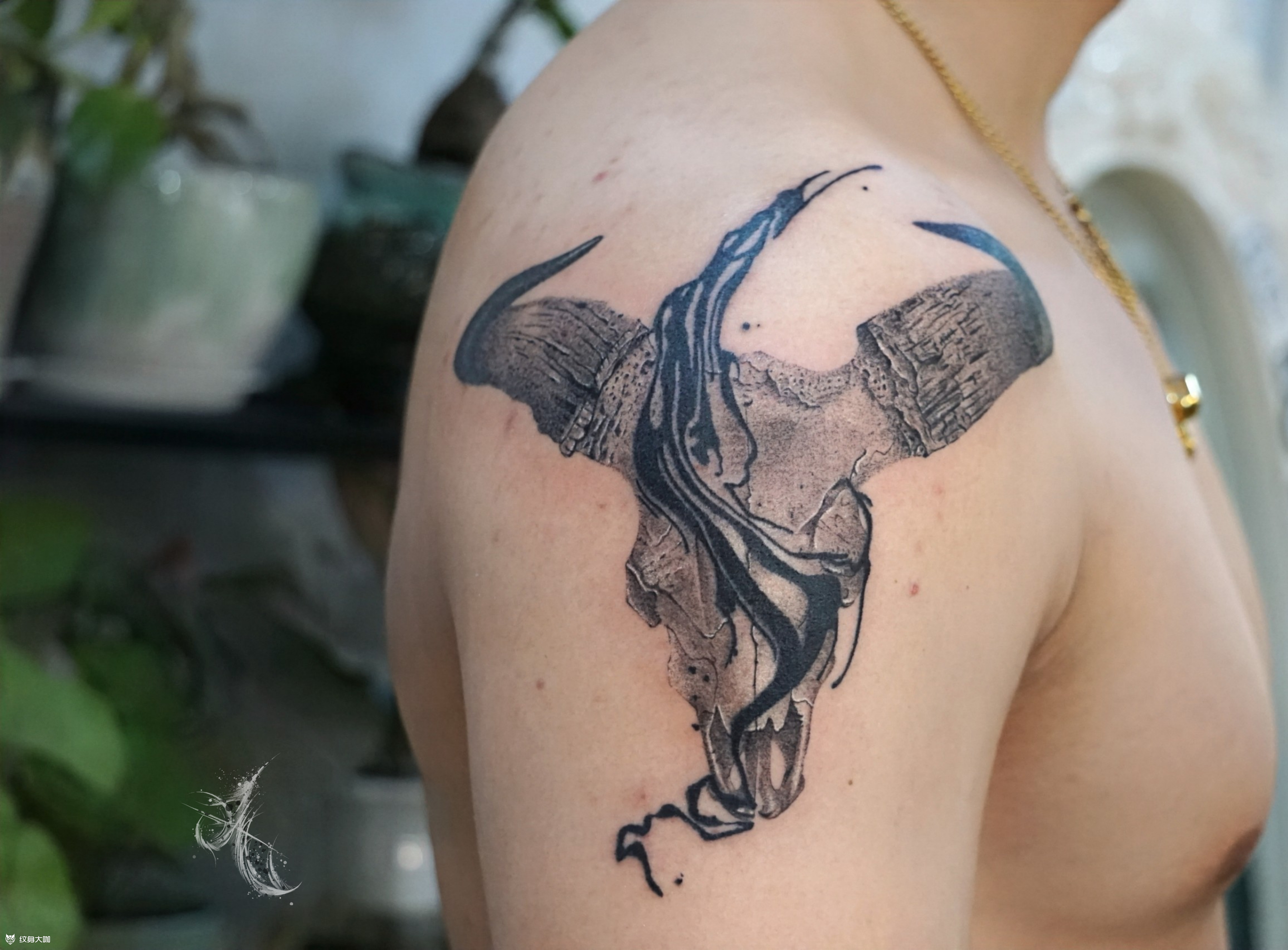 牛头骨_纹身图案手稿图片_李超凡的纹身作品集