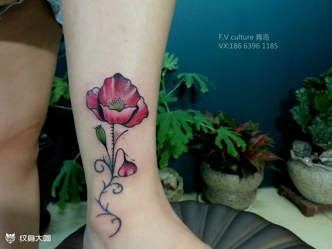 适合女孩脚腕的小清新罂粟花纹身_纹身图案手稿图片_梁飞的纹身作品集