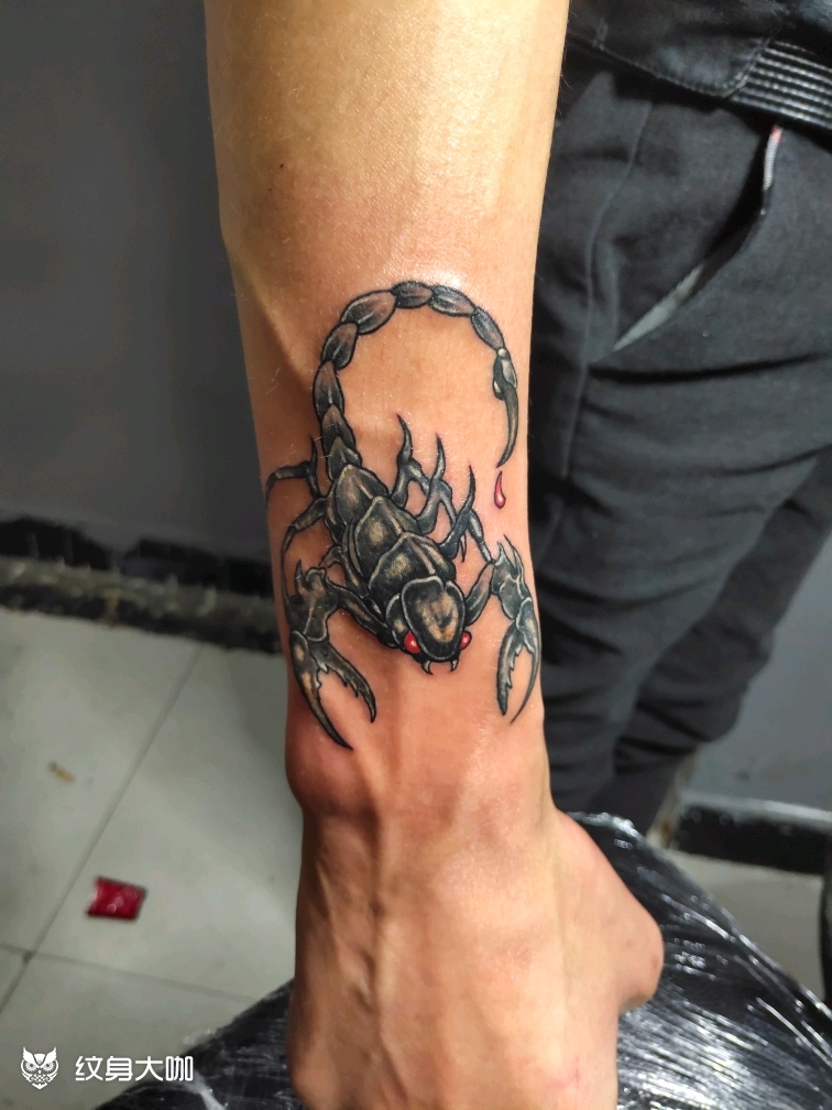 蝎子_纹身图案手稿图片_阿冰的纹身作品集