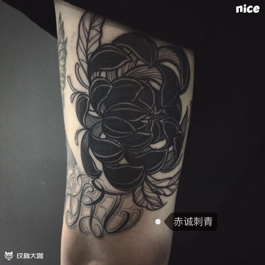 黑菊_纹身图案手稿图片_刘国文的纹身作品集