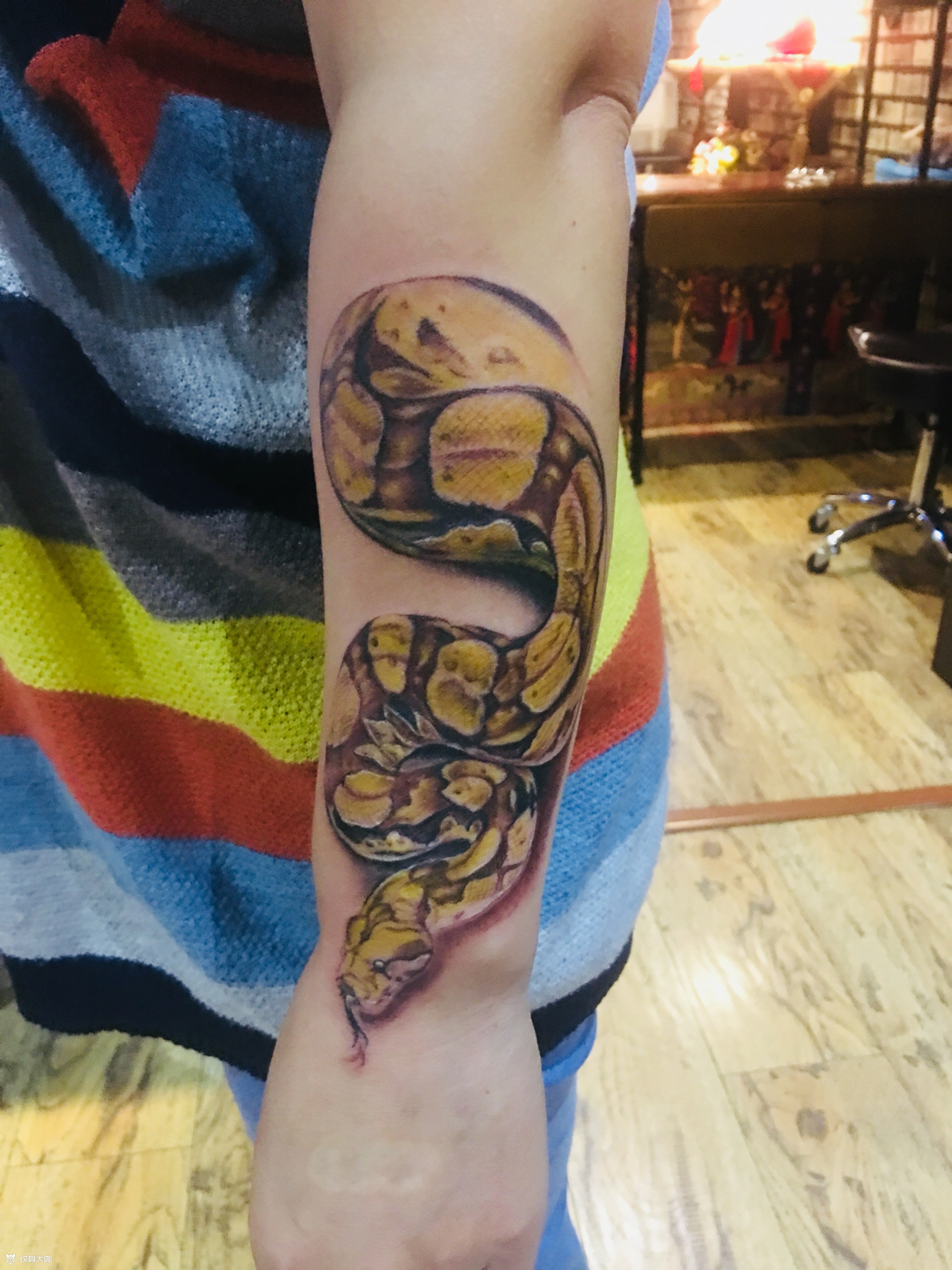 黄金蟒_纹身图案手稿图片_丹的纹身作品集