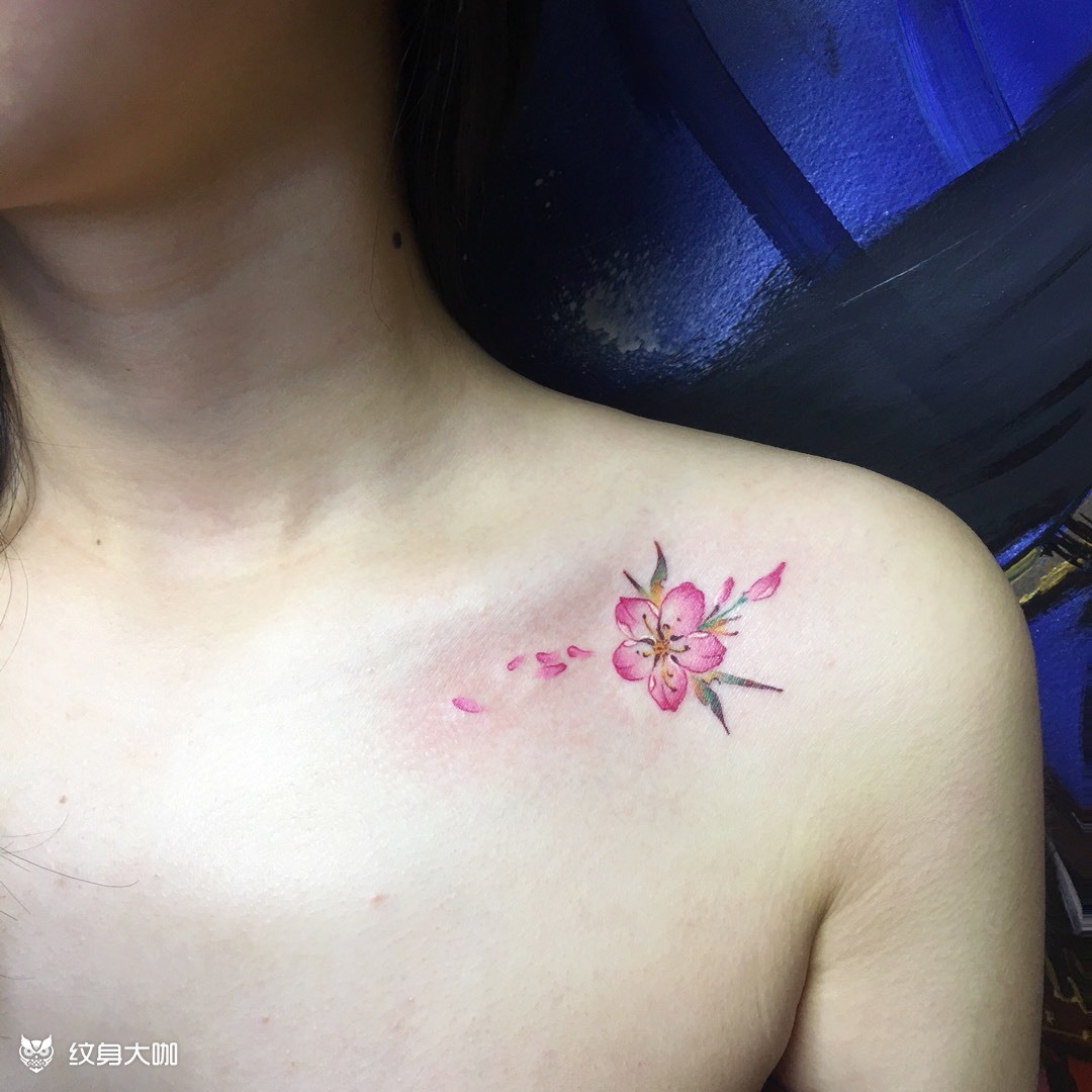 桃花_纹身图案手稿图片_轮铎97大王的纹身作品集