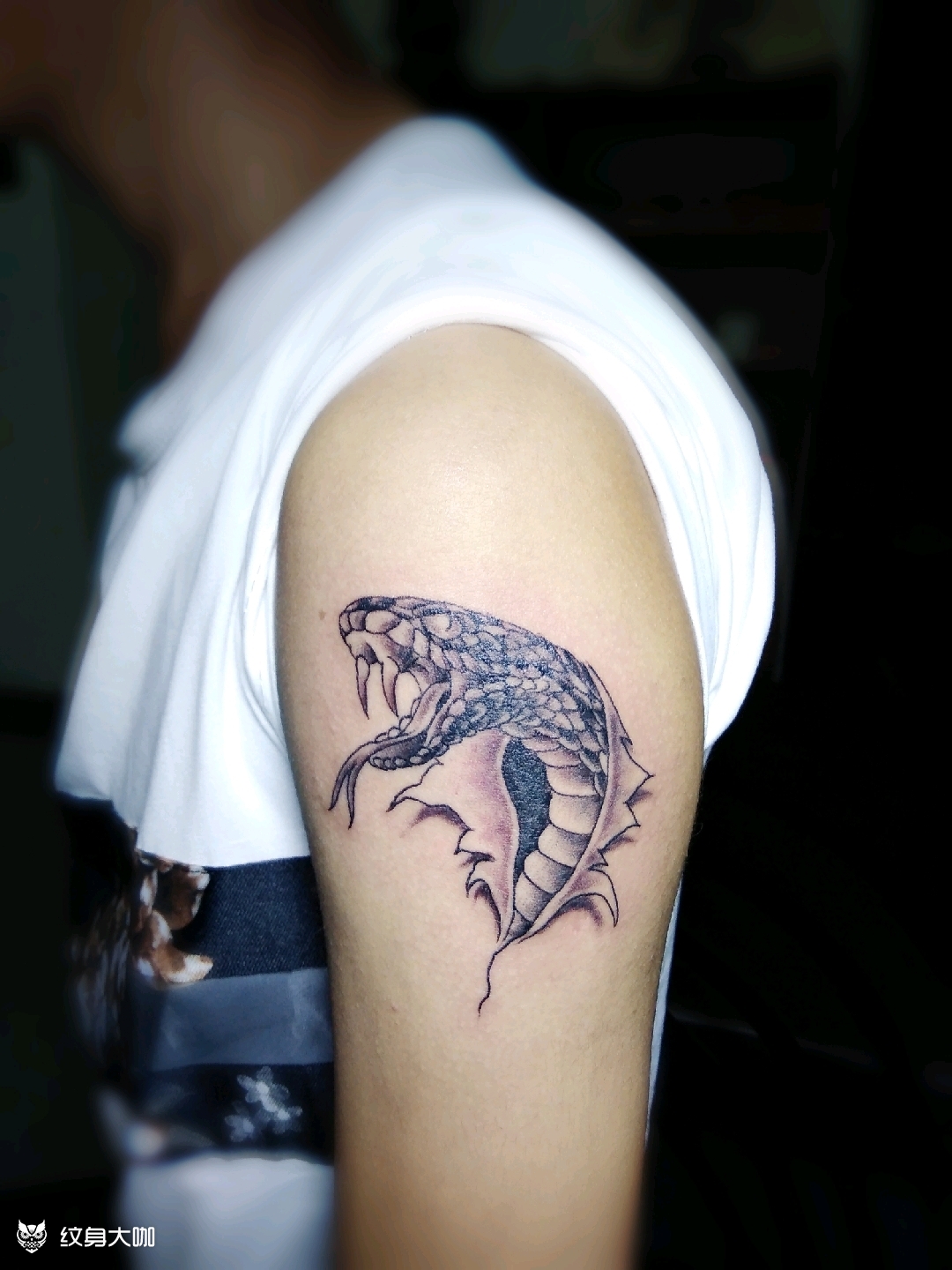 蛇_纹身图案手稿图片_何忠的纹身作品集