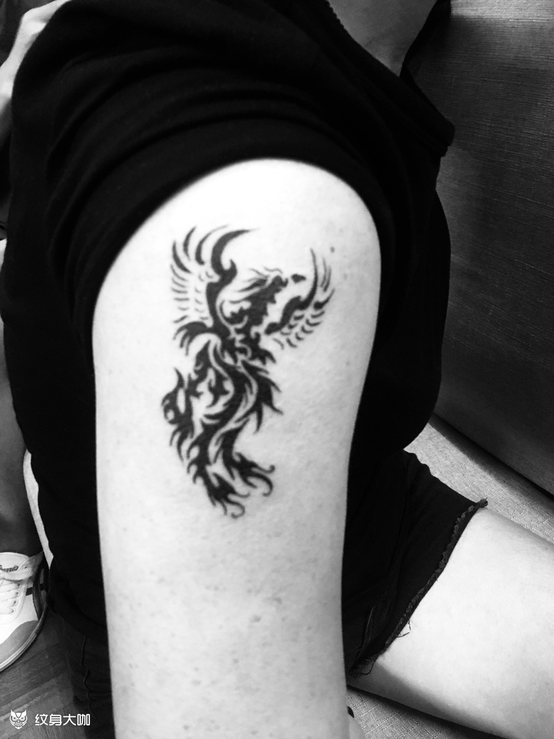 图腾凤凰_纹身图案手稿图片_陈浩松的纹身作品集