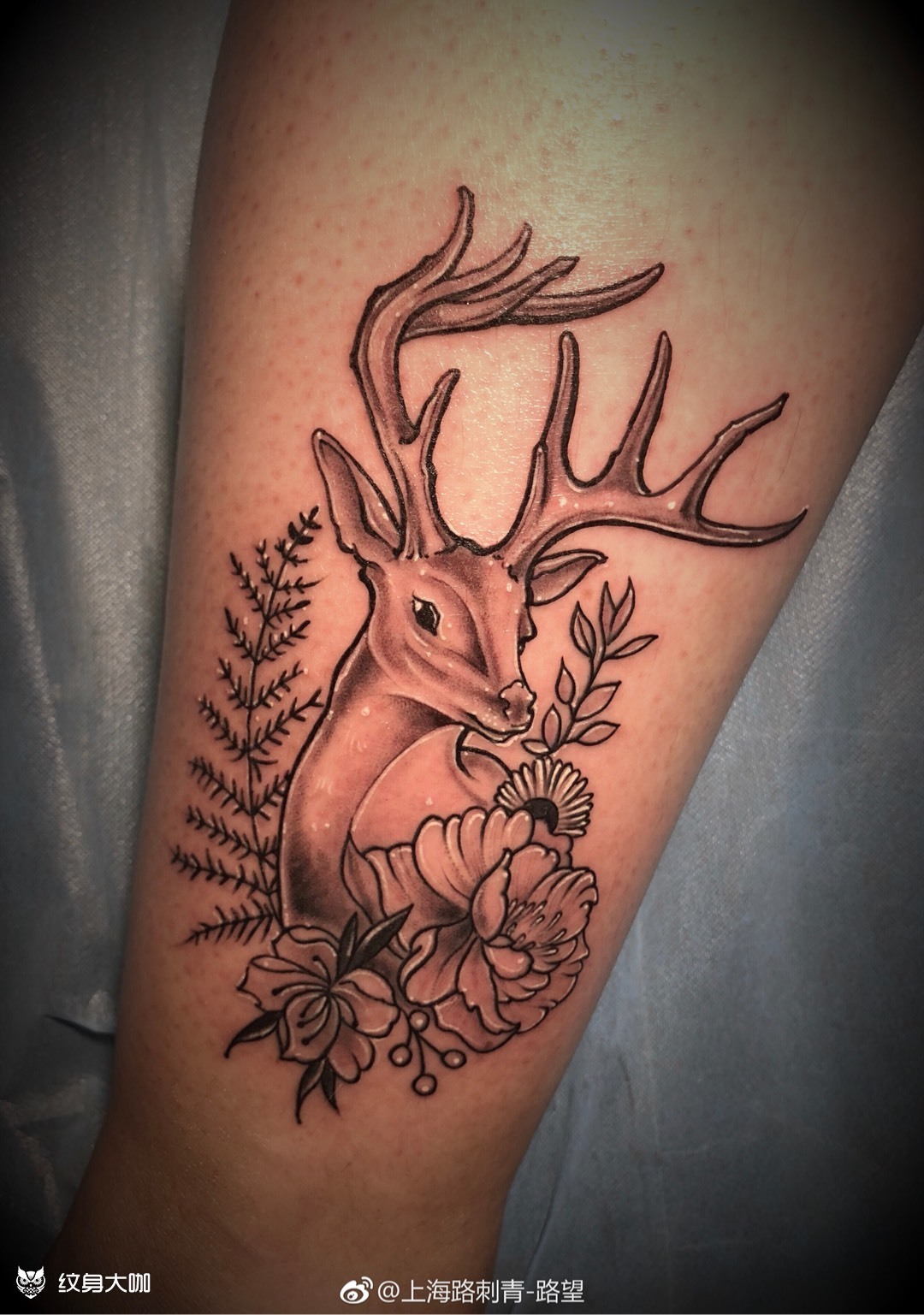 黑灰小麋鹿纹身_纹身图案手稿图片_路望的纹身作品集