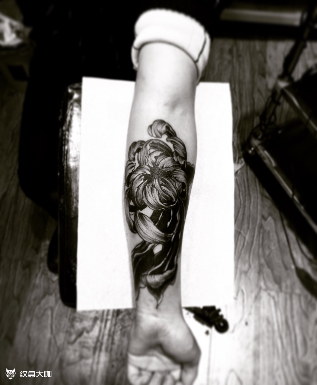 菊花 黑白韵味_纹身图案手稿图片_阿静的纹身作品集