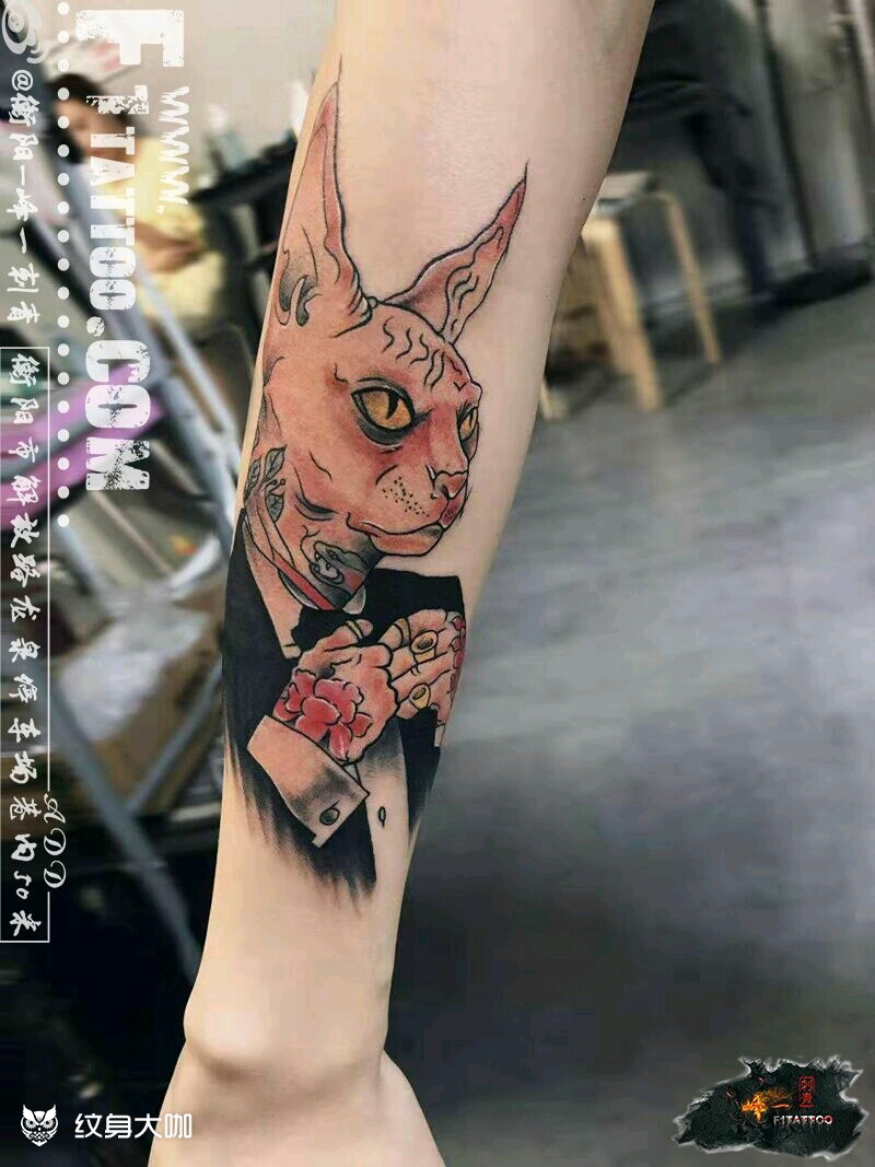 小臂彩色比鲁斯纹身作品