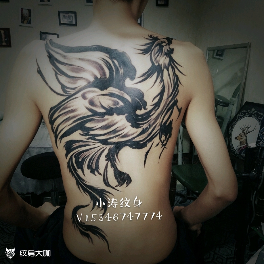 火凤凰满背纹身图案图片