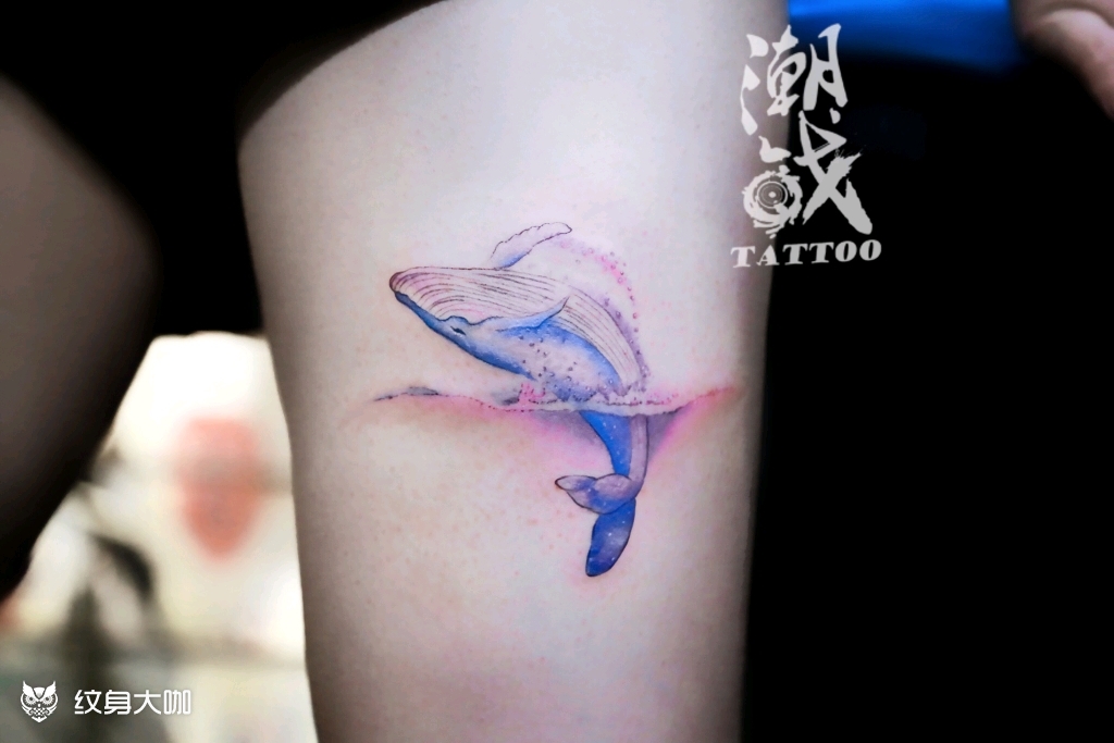 鲸鱼95_纹身图案手稿图片_小弥弥的纹身作品集