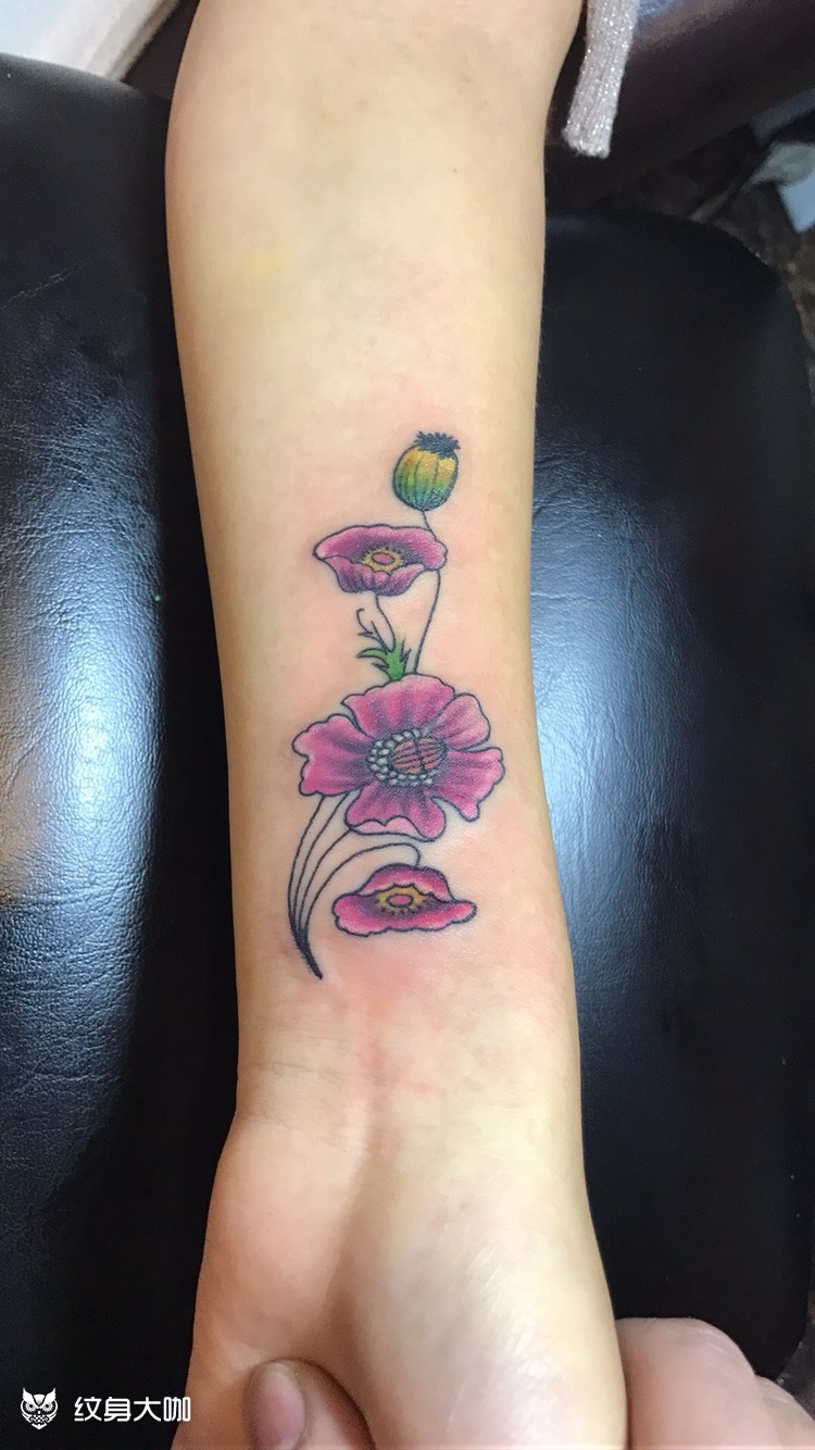 罂粟花纹身图片手臂图片