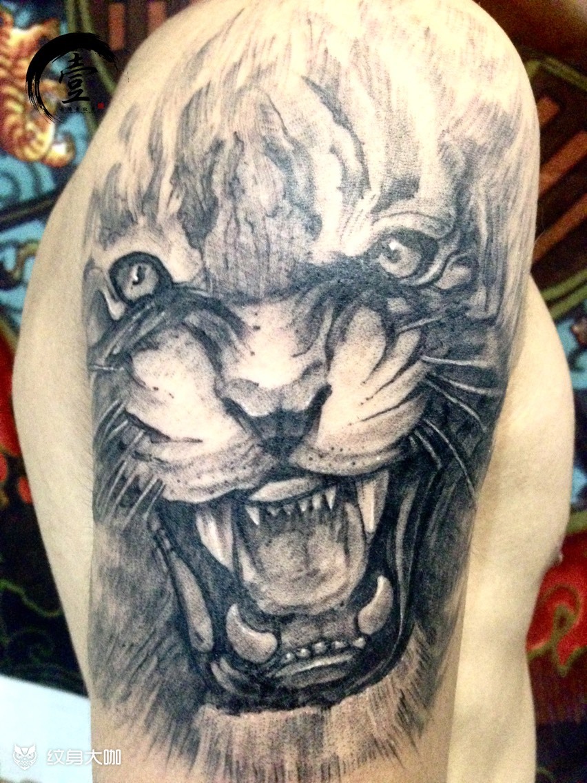 大臂虎头_纹身图案手稿图片_—-的纹身作品集