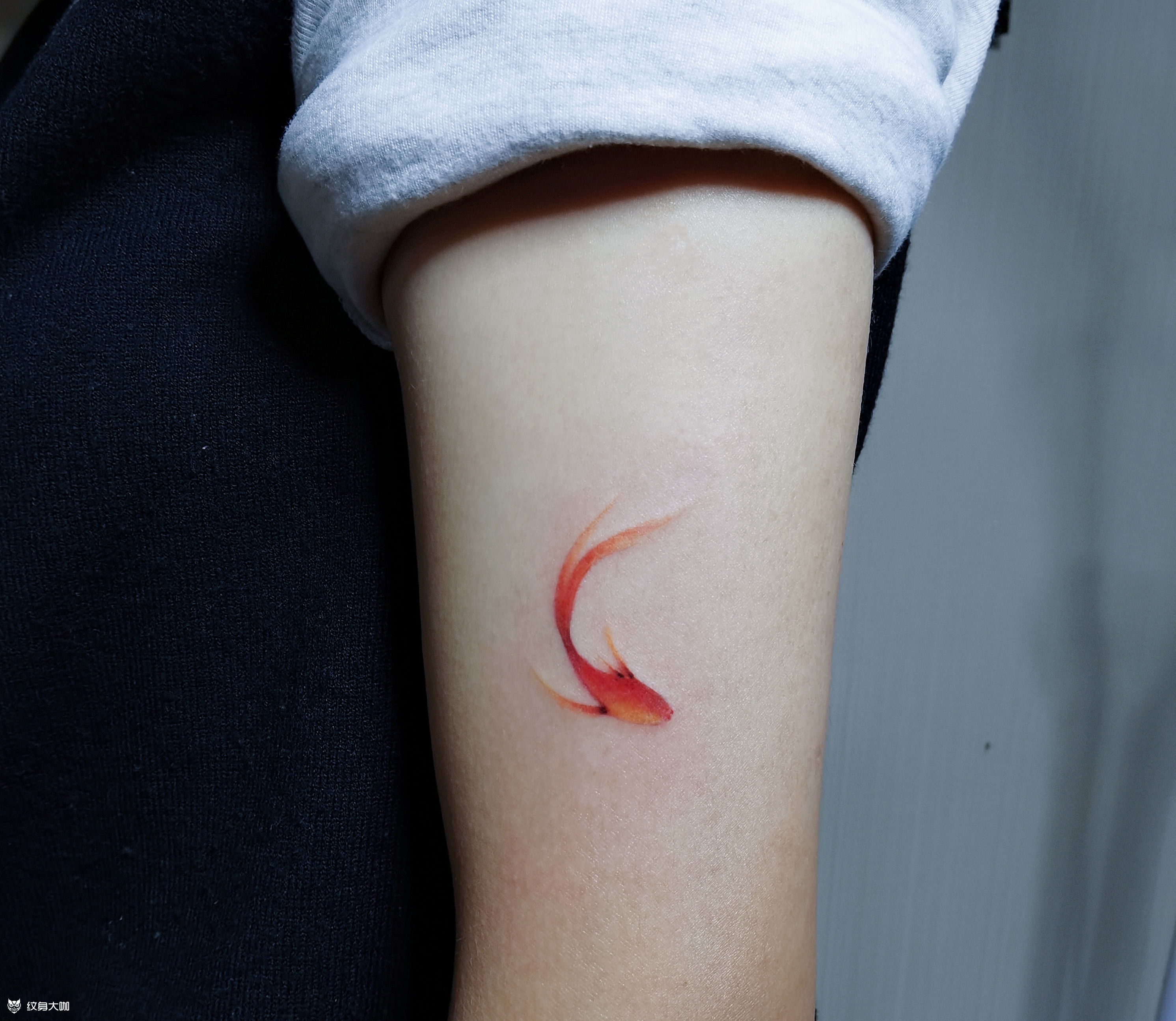 手臂小清新纹身图案大全 - 纹身大咖