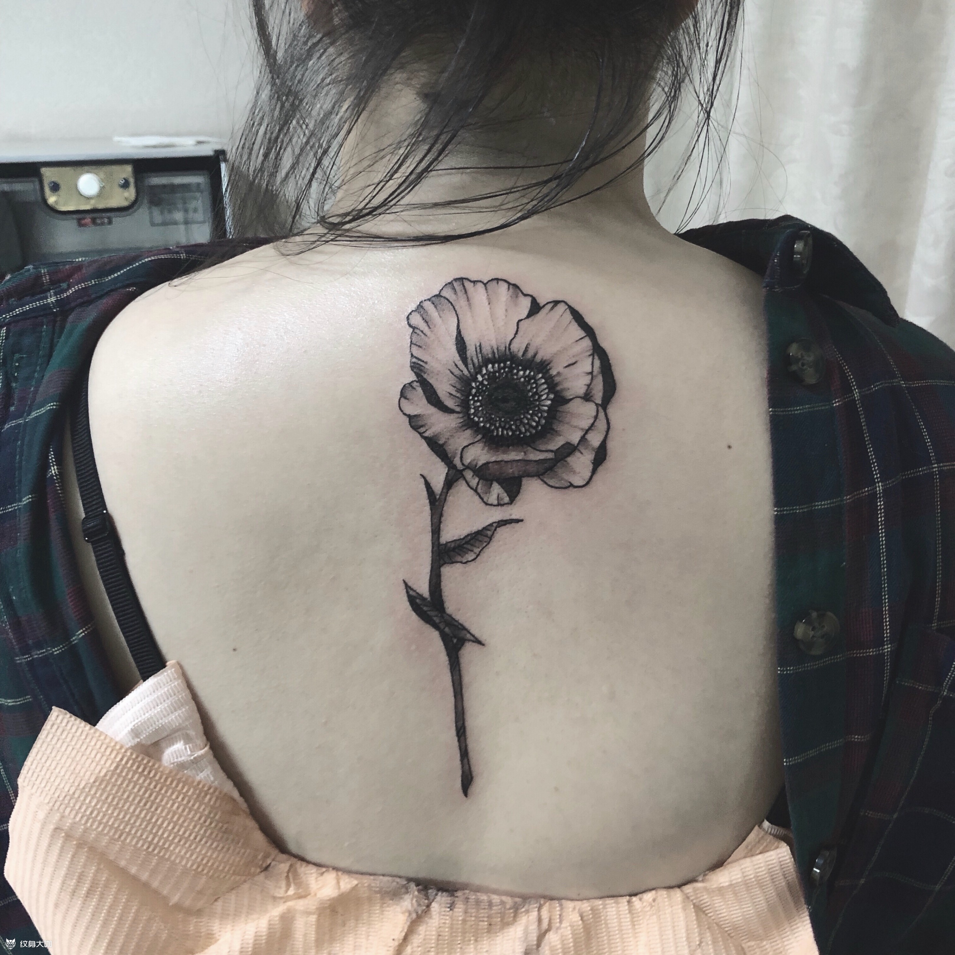 罂粟花后背纹身