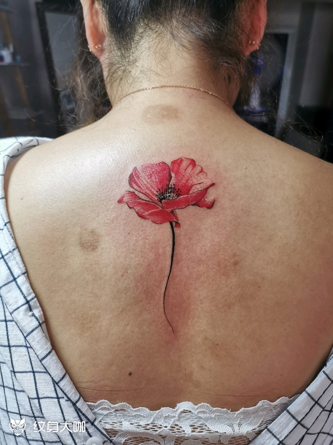 罂粟_纹身图案手稿图片_bubble 羽的纹身作品集