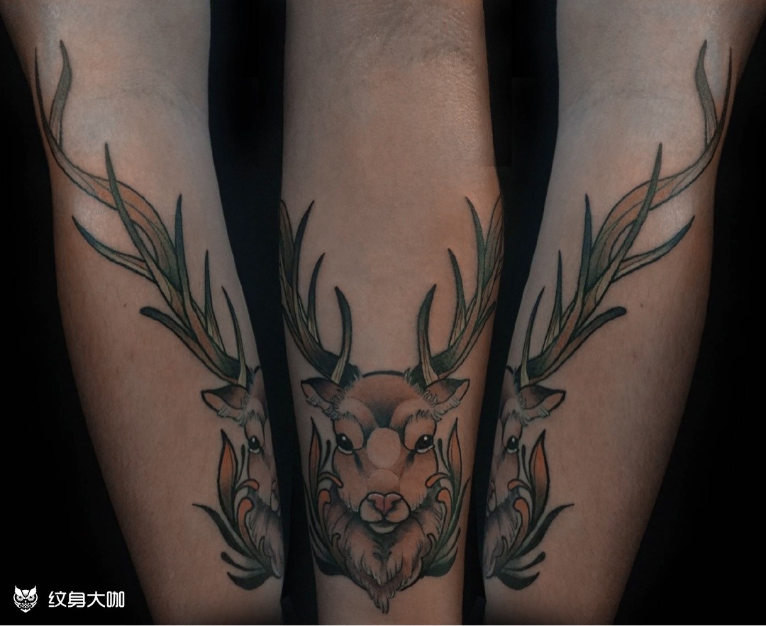 小臂鹿头_纹身图案手稿图片_橙的纹身作品集