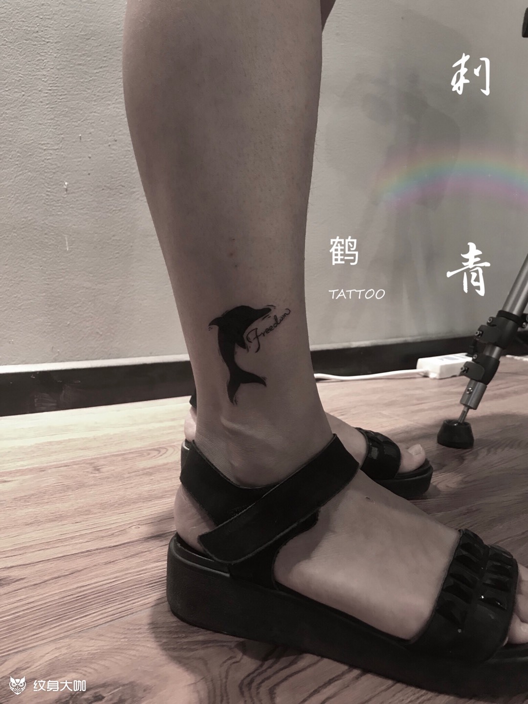 小海豚_纹身图案手稿图片_鹤w的纹身作品集