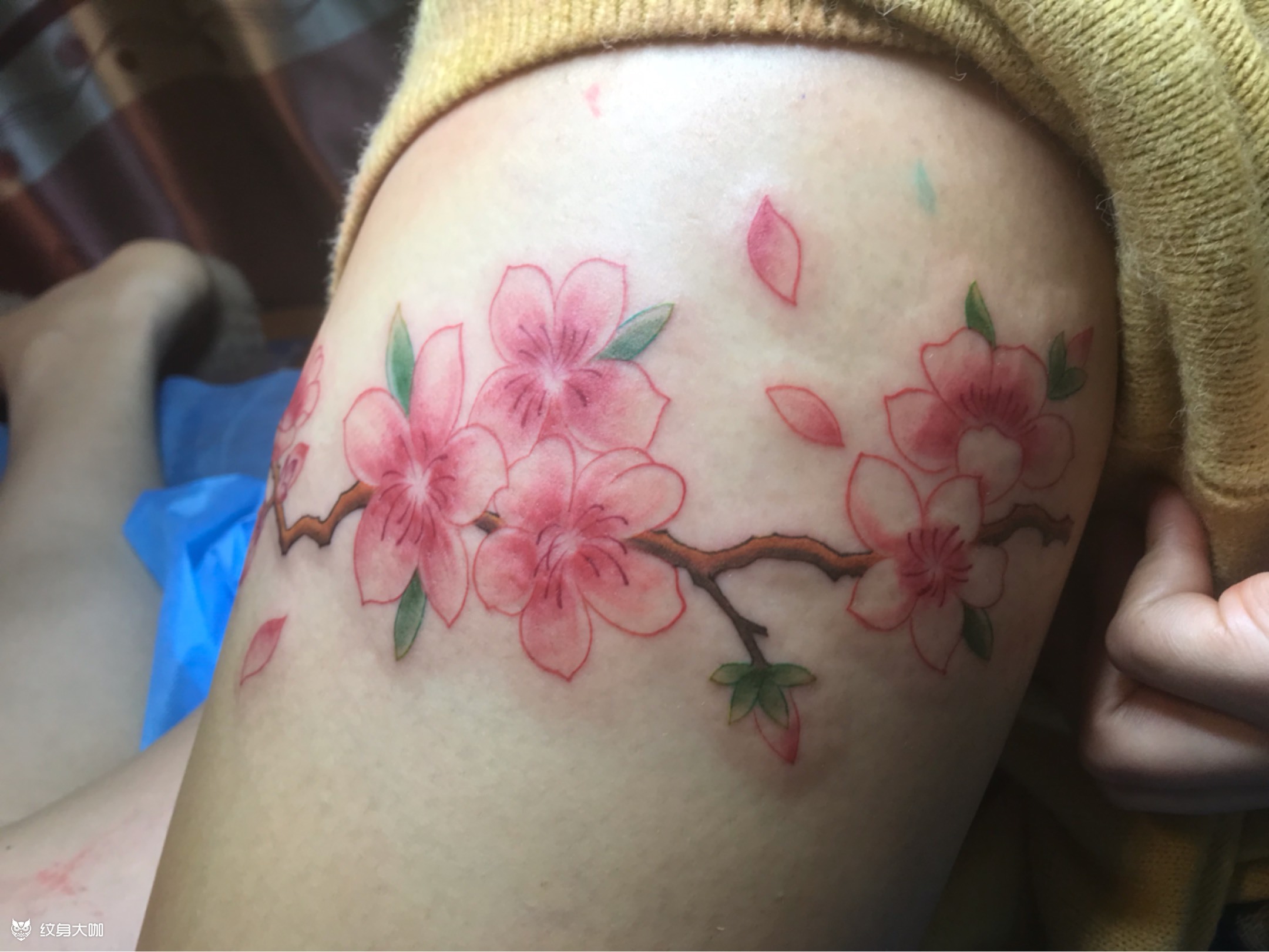 桃花_纹身图案手稿图片_林辉煌的纹身作品集