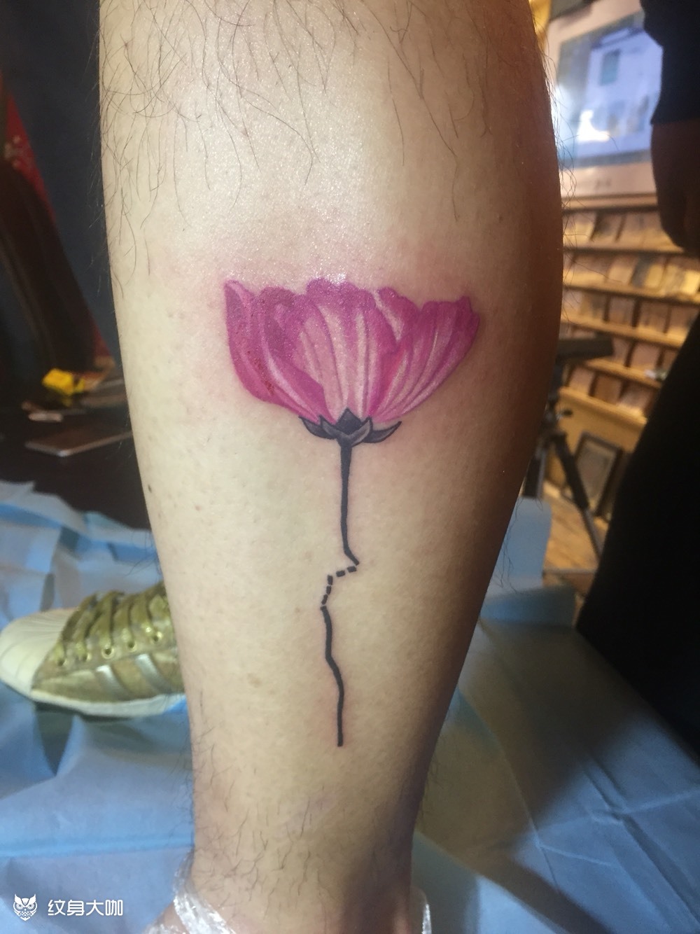 格桑花_纹身图案手稿图片_小军的纹身作品集