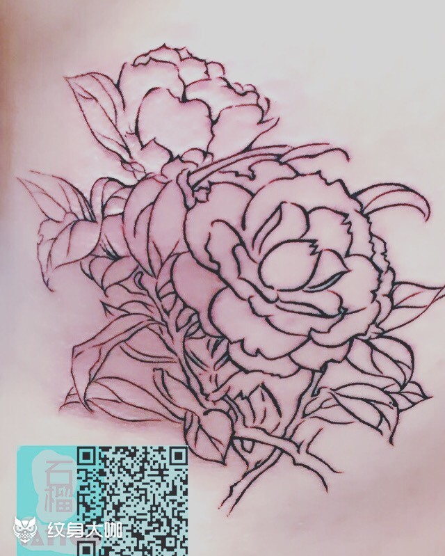白描牡丹_纹身图案手稿图片_六六的纹身作品集