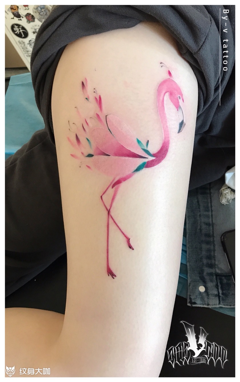 火烈鸟_纹身图案手稿图片_博洋的纹身作品集
