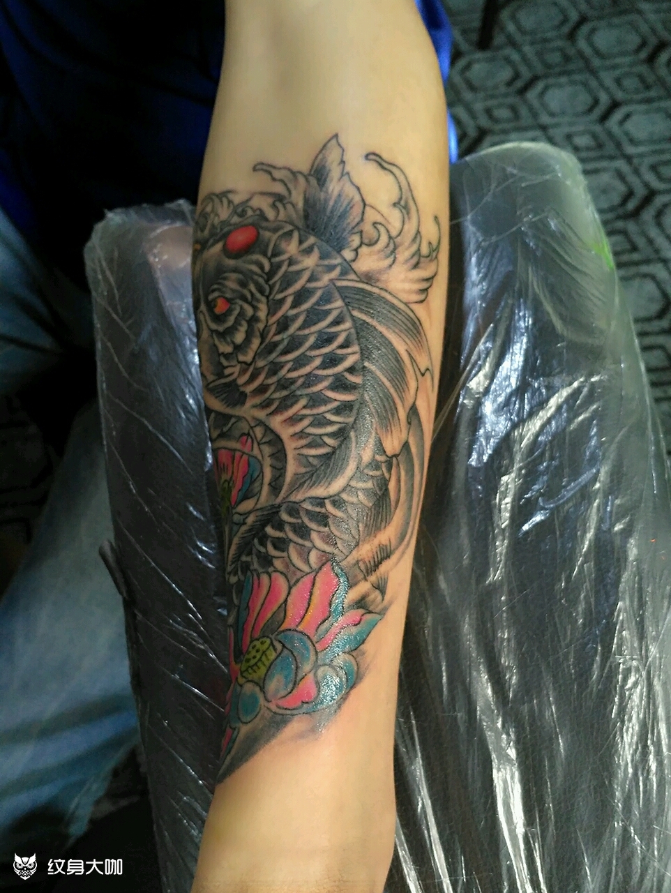 下臂鲤鱼遮盖_纹身图案手稿图片_陈建涛的纹身作品集