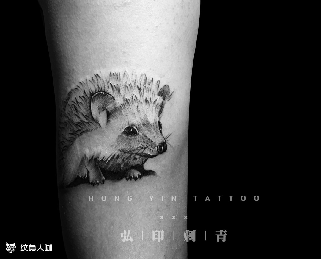 小刺猬_纹身图案手稿图片_巴条的纹身作品集