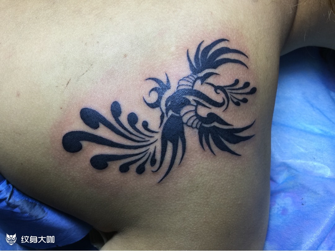 图腾凤凰_纹身图案手稿图片_王东的纹身作品集