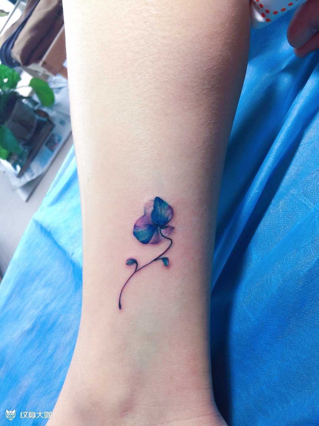 脚踝兰花_纹身图案手稿图片_唐澜茜的纹身作品集