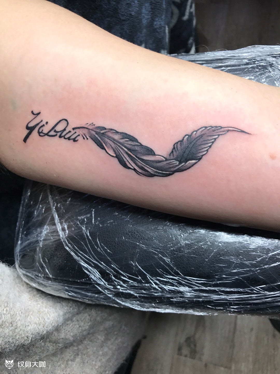 羽毛_纹身图案手稿图片_小姚的纹身作品集