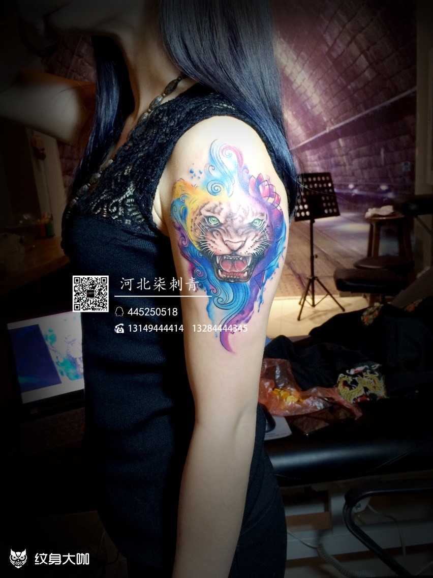 彩色虎头_纹身图案手稿图片_赵华南的纹身作品集