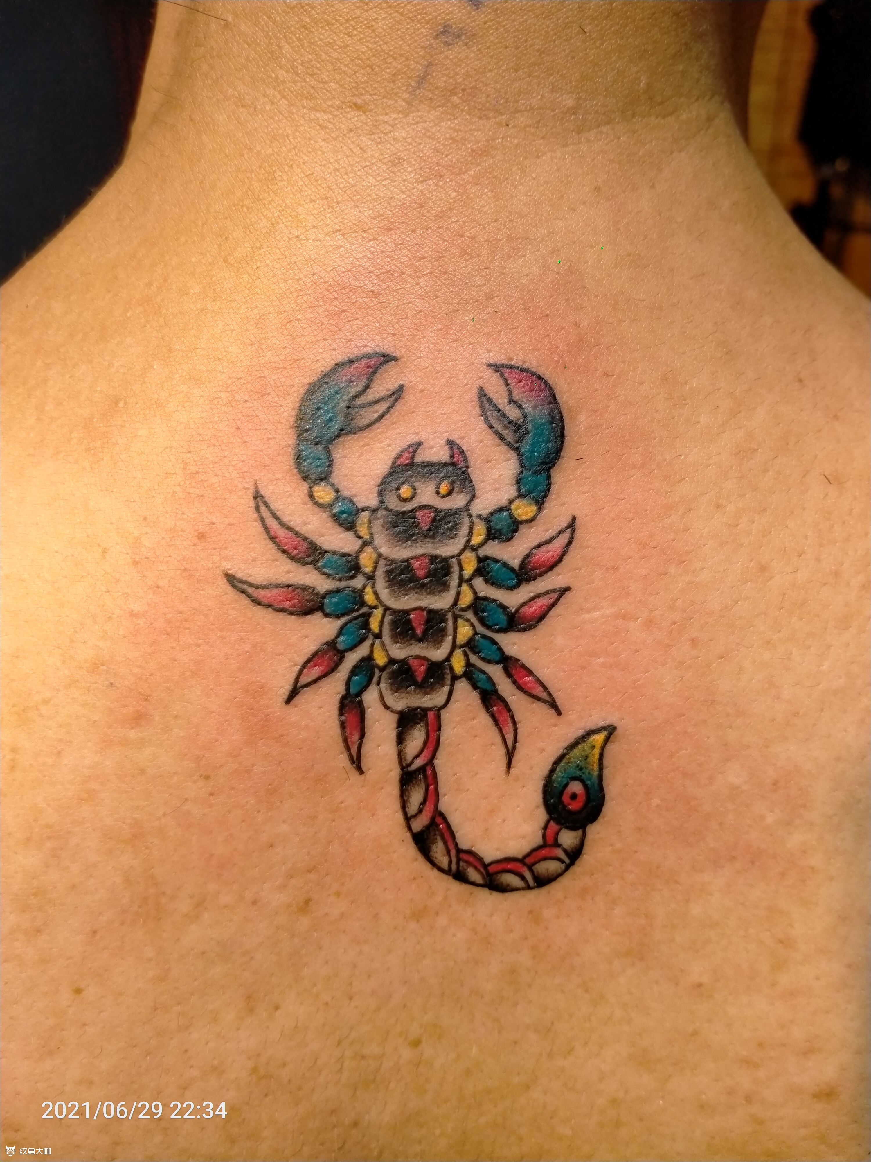 蝎子_纹身图案手稿图片_果果的纹身作品集