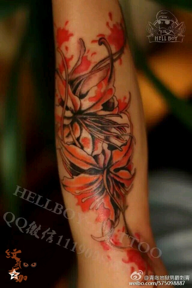 女士小臂彼岸花_纹身图案手稿图片_hellboy-tattoo的纹身作品集
