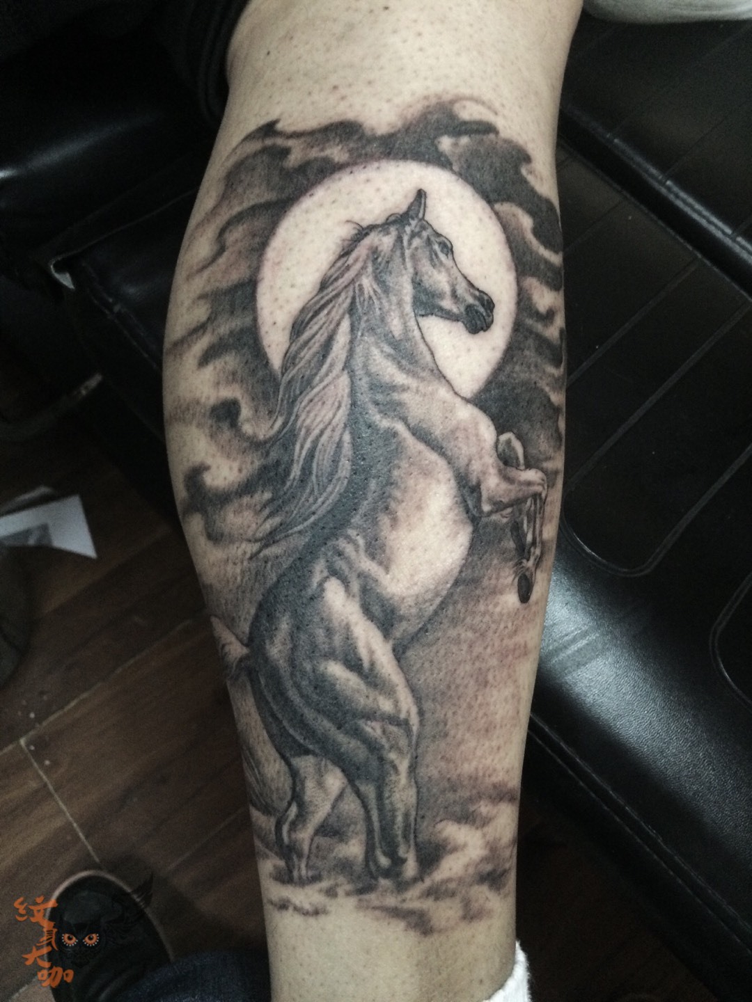 马_纹身图案手稿图片_陈晓东的纹身作品集